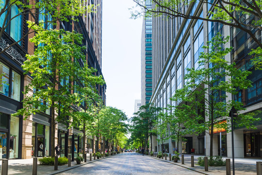 (東京都ｰ都市風景)丸の内オフィス街の夏３