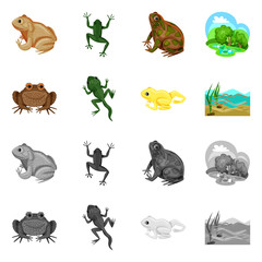 Vector design of wildlife and bog sign. Collection of wildlife and reptile stock symbol for web.