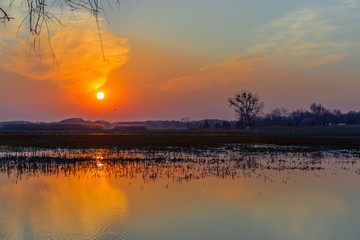 Biebrza Valley (Poland). Sunset over the meadows.