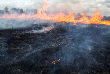 The big fire in the field