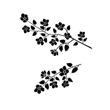 Silhouette of apple or cherry flower with leaf, branch  blossom,  black color, isolated on white background