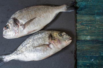 Two raw dorado fish on a dark background. View from above.