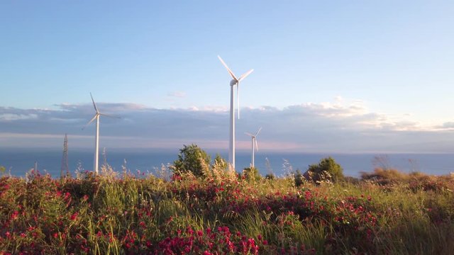 Parco eolico con turbine per la generazione di energia elettrica dal vento. Fonte rinnovabile e pulita, tecnologia per le costruzioni del futuro. Situate in montagna.
