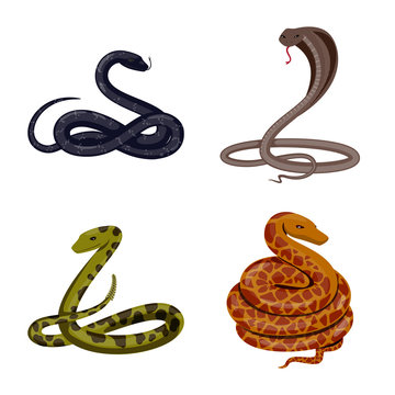 Vector illustration of poison and evil symbol. Collection of poison and bite stock vector illustration.