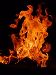 Fototapeta premium fire and flames