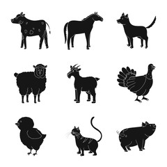 Vector design of ranch  and organic  sign. Collection of ranch  and food stock symbol for web.