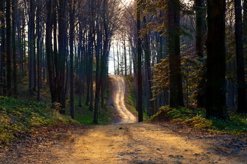 Naklejka premium Beskid Wyspowy - Góry Karpaty
