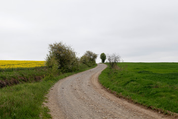 country road in the countryside