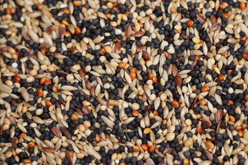 close up of bird feed