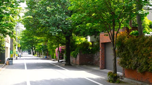 住宅街　イメージ　世田谷　成城