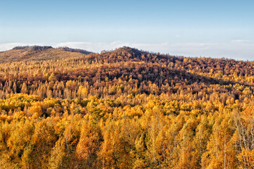 Naklejka premium Autumn panorama of hills with yellow trees