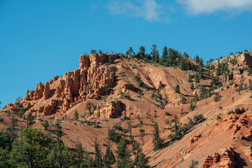 Red Canyon