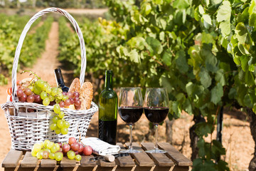 red wine ripe grapes and picnic basket on table in vineyard