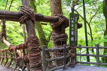 風景物語(四国 徳島 祖谷のかずら橋)