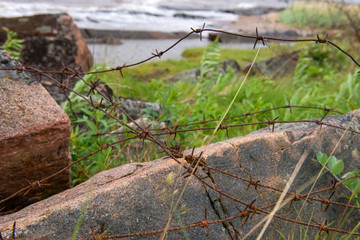 Fototapeta na wymiar Old rusty barbed wire at the site of an SLON concentration camp on the shore of the White Sea in stormy weather