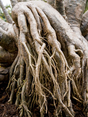 Abstract colored background close up. Macro.