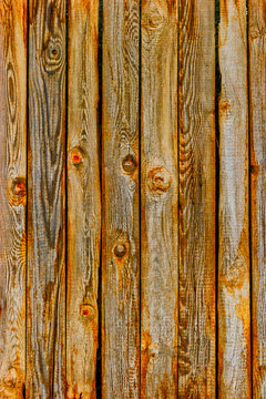 Old planks fenece of natural wooden color