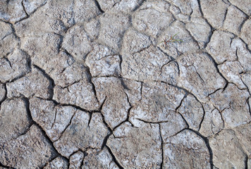 Cracked dry ground