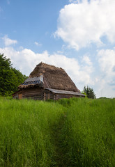 The path to the old wooden shed