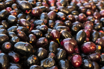 Lots of black plum organic fruit, background, agriculture and health concept