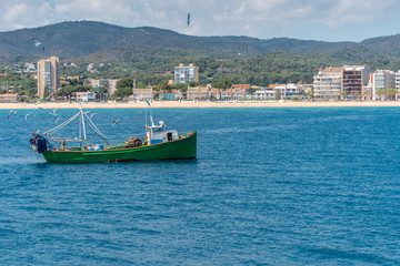 Fototapeta premium Trawler fishing boat surrounded by seagulls returning to port