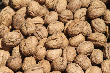 Pile of unshelled walnuts in sunlight