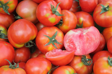 Red tomatoes with green leaves