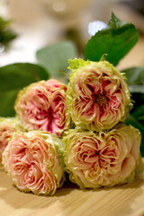 Unfocused flowers. Blurred floral background. Roses