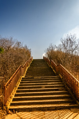 Fototapeta premium stairs