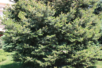 It's spring. Urban landscapes and attractions.