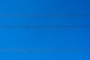 Infrastruktur, Stromleitungen und Hochspannungsleitungen mit Distanzhaltern gegen strahlend blauen Himmel