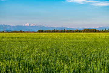 Obraz premium Evening in the countryside of Friuli