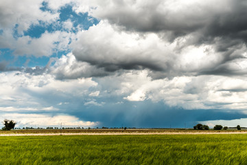 Fototapeta na wymiar Big storm in the fields of Italy