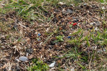 Micro plastic pollution in soil found