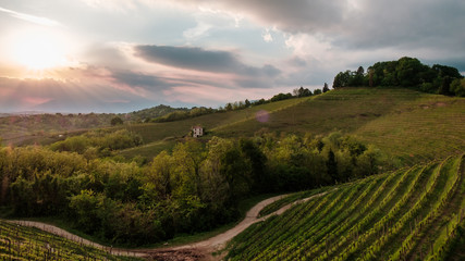 Fototapeta premium Evening storm in the vineyards