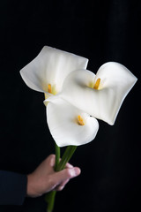 Beautiful bouquet of white callas in male hands on a black background, vertical orientation