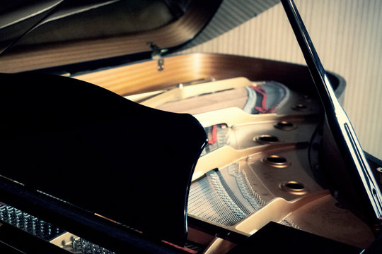A view of a wing-shaped open grand piano, with the soundboard containing the strings.