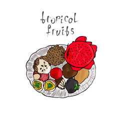 Vector illustration with colorful tropical fruits.