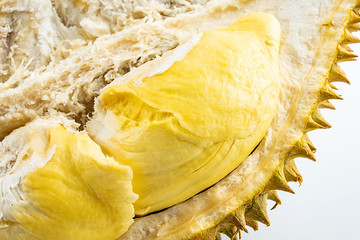 Delicious fruit durian on white background