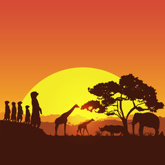 Fototapeta na wymiar Safari banner, silhouette of wildlife animals in South Africa