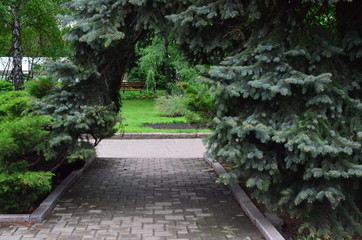path in the park