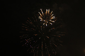 Starry flower of bright yellow and green firework lights. during Halloween, Christmas, Independence Day, New Year.