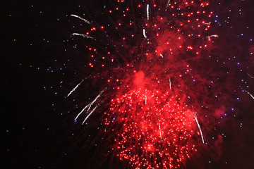 A beautiful bouquet of inflorescences of bright and violet and brilliant red firework lights during...