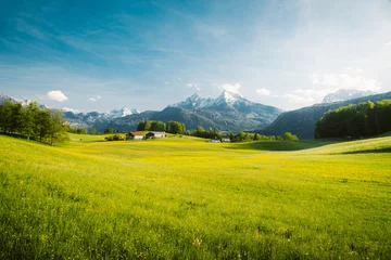 Washable wall murals Meadow, Swamp Idyllic landscape in the Alps with blooming meadows in springtime