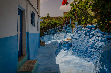 blue walls