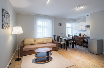 Modern studio apartment interior. Kitchen and guest room.