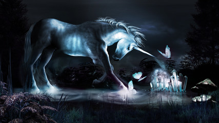 Unicorn and butterflies © Melkor3D