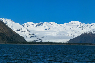 Bear Glacier from the mouth of Resurrection Bay, Alaska