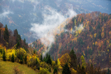 Beautiful autumn mountain landscape covered with fog.