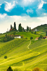 Fototapeta premium South styria vineyards landscape, near Gamlitz, Austria, Eckberg, Europe. Grape hills view from wine road in spring. Tourist destination, travel spot.